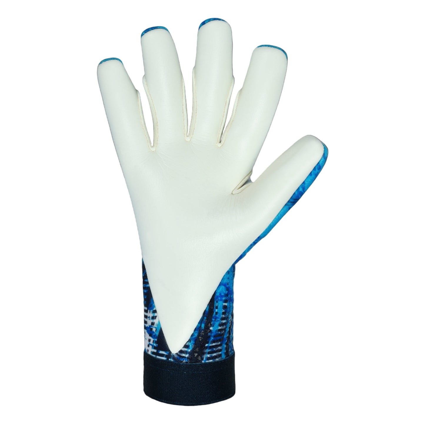 Titan Pro Guard Blue