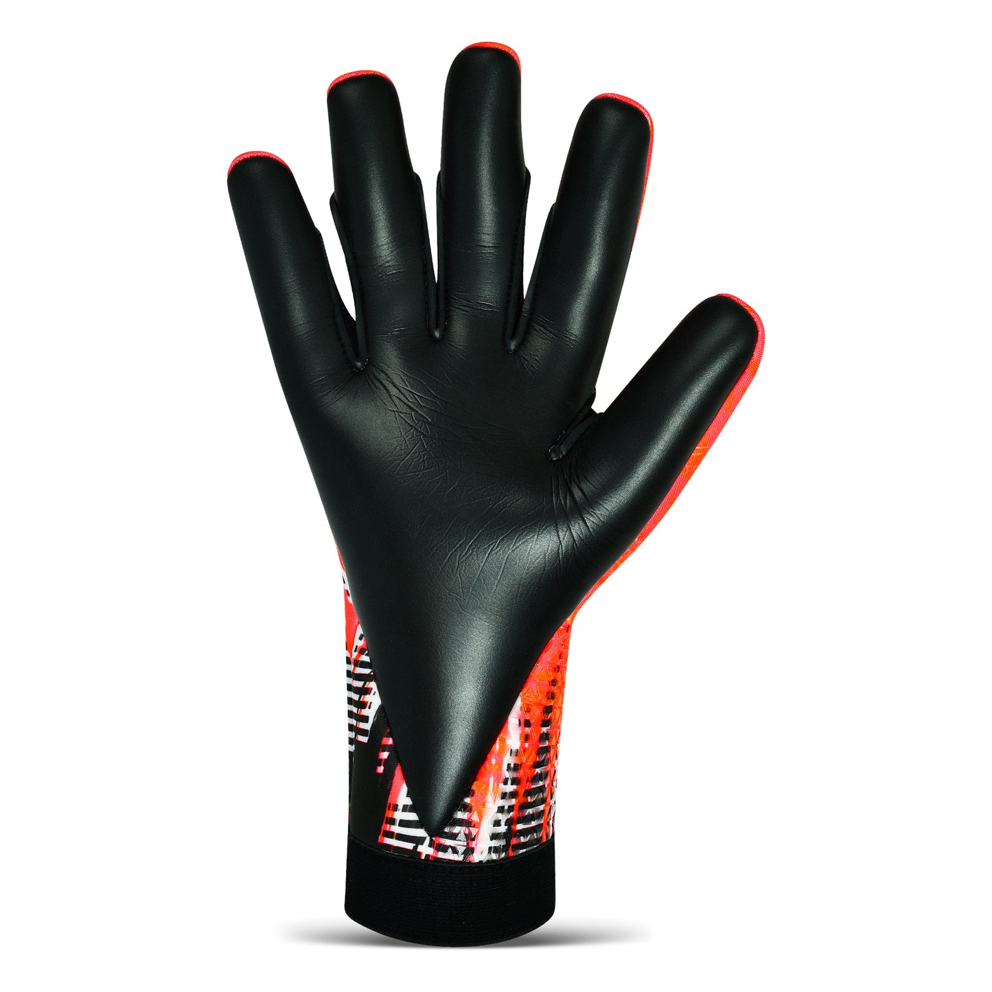 Titan Pro Guard